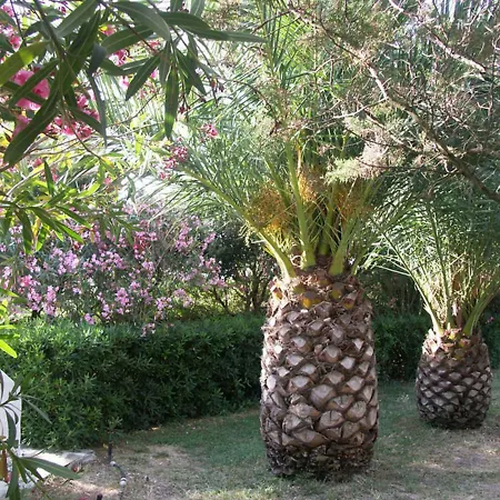 Apartament Locanda Del Pescatore Palmadula