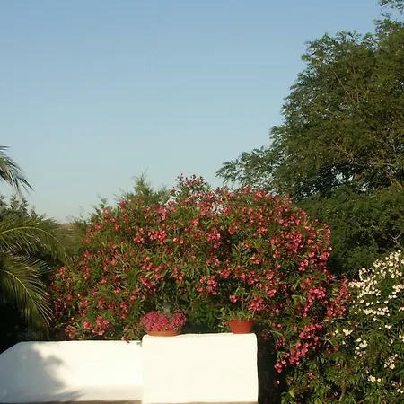 Locanda Del Pescatore Palmadula